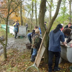 2011     ablassen tiefensee 2011 76 04c35bad
