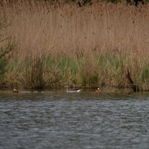 20140427 naturbilder 50 03d6cd82