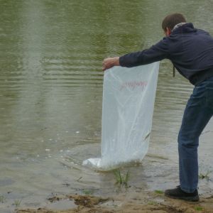 20150501 kleinfischbesatz nach sanierung 5 e7c665ff