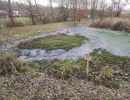 20251115 dorfseeablassen 016f177c