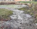 20251115 dorfseeablassen 017ca5dc