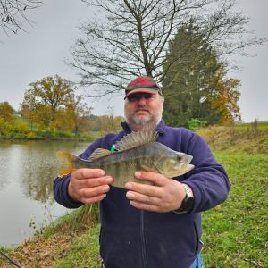 20241101 barsch tiefensee 39cm 900g thomas hager 001ea673c0
