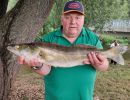20260705 zander jagst 73cm 3750g helmut ley fischerkoenig eab646ab