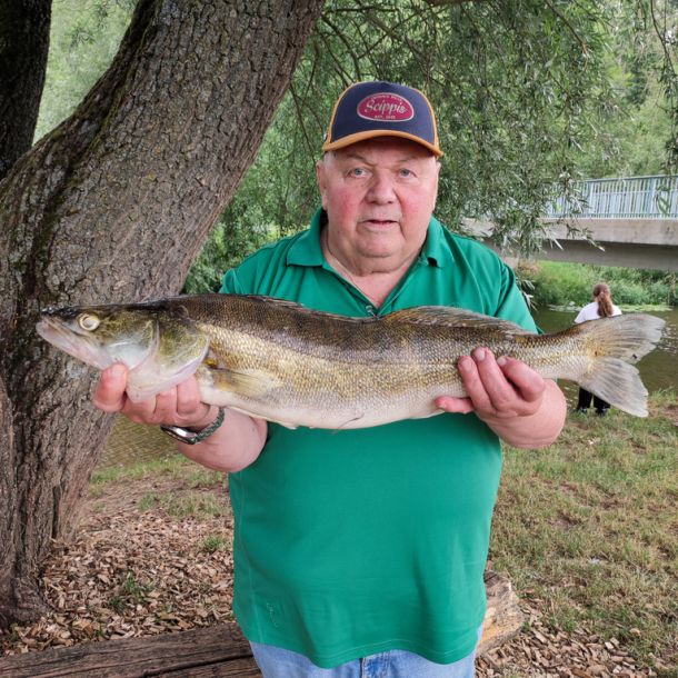 20260705 zander jagst 73cm 3750g helmut ley fischerkoenig eab646ab