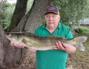 20260705 zander jagst 73cm 3750g helmut ley fischerkoenig f90af76c