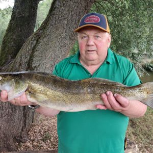 20260705 zander jagst 73cm 3750g helmut ley fischerkoenig f90af76c